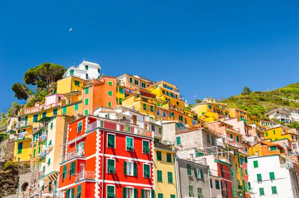 Casas Coloridas Riomaggiore Parque Nacional Cinque Terre Italia — Foto de Stock