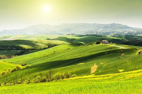 Schöne Sommerlandschaften Der Toskana Italien — Stockfoto
