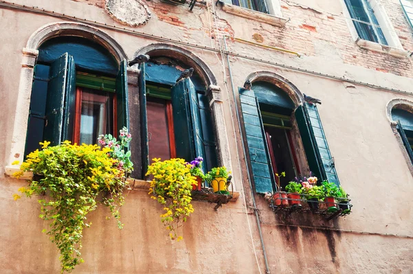 Windows with green shutters and flowers. Old architecture in Venice, Italy