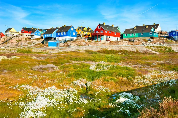 Casas coloridas nas rochas e grama de algodão florescendo em Ilulis — Fotografia de Stock