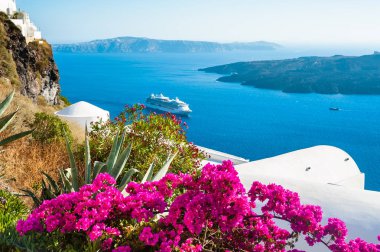 Santorini Island, Yunanistan. Beyaz mimarisi ve pembe çiçekler wi