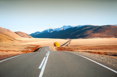 Sonbahar Dağları'nda sarı ağaç olan yol. Chuysky yolu Alta