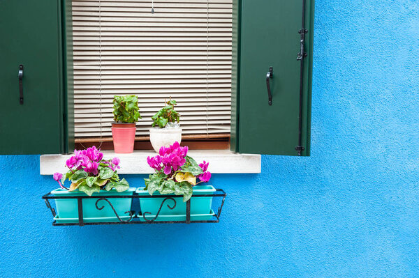 Blue wall of the house and window with flowers.