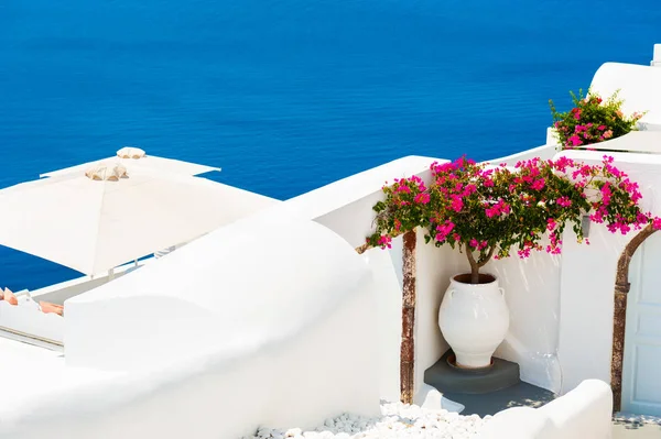 Fleurs roses sur la terrasse avec vue sur la mer. Île de Santorin, Grèce . — Photo