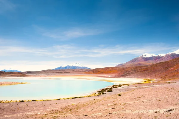 High-altitude lagoon and volcanoes on Altiplano plateau, Bolivia — Stock Photo, Image