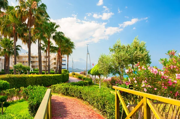 Belo passeio marítimo com árvores verdes em Kemer, Turquia . — Fotografia de Stock