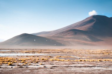 Altiplano platosunda yüksek irtifa manzaraları, Bolivya. 