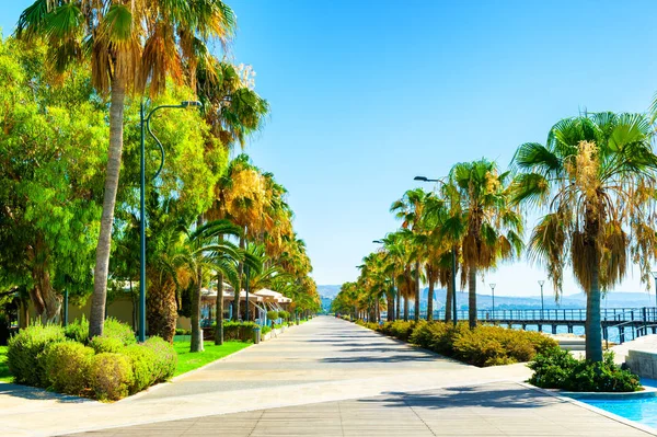 Hermoso paseo marítimo con palmeras en Limassol, Chipre . — Foto de Stock