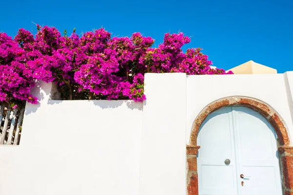 Традиционная греческая архитектура и розовые цветы — стоковое фото