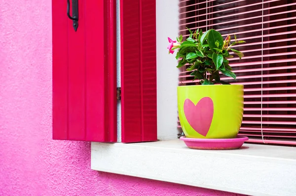 Pared y ventana rosa con persianas rosas. Burano, Venecia, Italia . — Foto de Stock