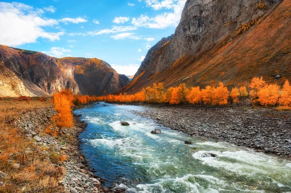 Κοιλάδα των ποταμών τσουγιμάν στα βουνά Αλτάι, Σιβηρία, Ρωσία. — Φωτογραφία Αρχείου