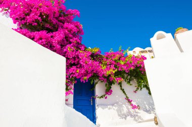 Santorini Island, Yunanistan geleneksel Yunan mimarisinde.