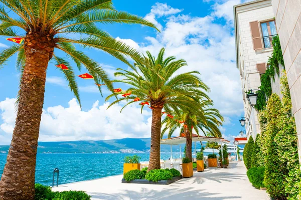Beautiful sea promenade in Tivat, Montenegro. — Stock Photo, Image