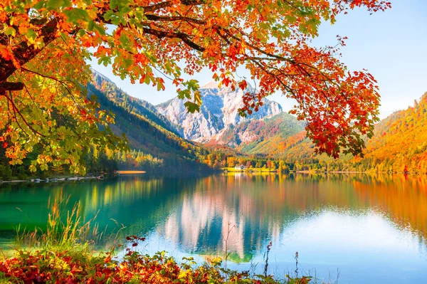 Yellow autumn trees on the shore of lake in Alps, Austria. — Stock Photo, Image