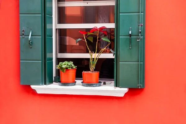 Okno z zielonymi okiennicami na czerwonej ścianie. — Zdjęcie stockowe