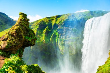 İzlanda 'da skogafoss şelalesi. 