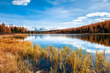 Altai Dağları 'nda kidelu Gölü, Sibirya, Rusya. 