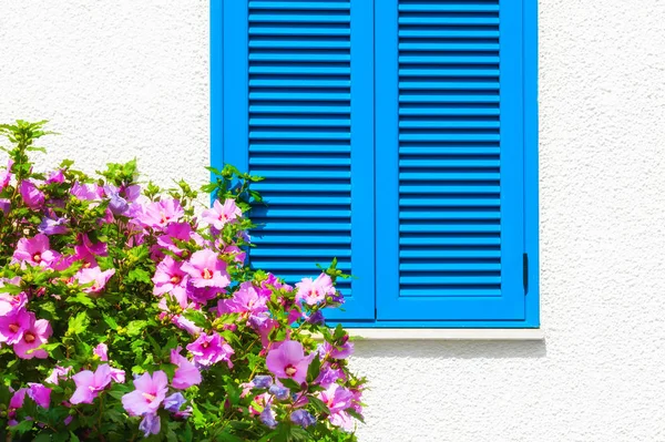 Fenster mit blauen Fensterläden und blühenden rosafarbenen Blumen — Stockfoto