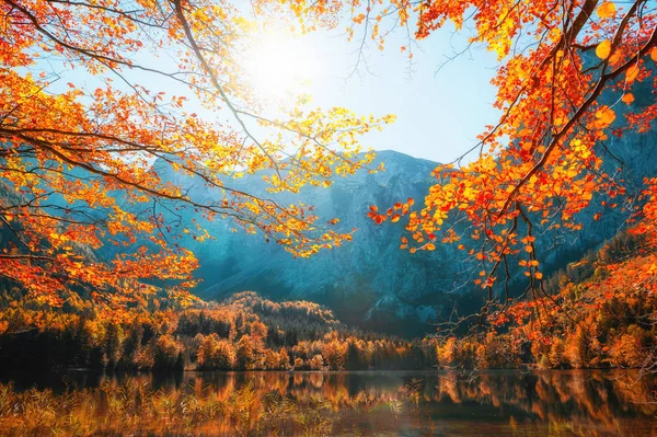 Dağlarda gölün kıyısında sonbahar ağaçları — Stok fotoğraf