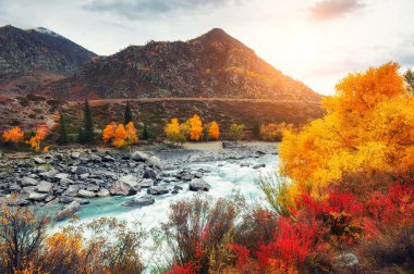 Altay dağlarında Katun nehri, Sibirya, Rusya Federasyonu
