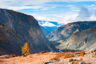 Altay dağları, Sibirya, Rusya Federasyonu