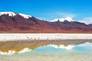 Altiplano platosunda volkanlar ve lagün, Bolivya.