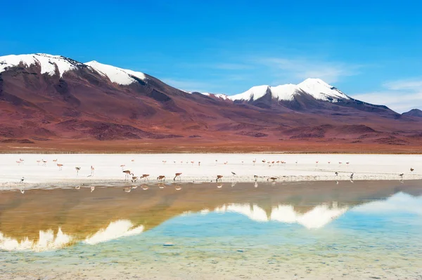 Volcanoes and lagoon on Altiplano plateau, Bolivia. — Stock Photo, Image