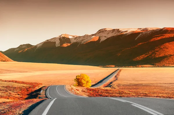 Sonbahar dağlarında güzel yol. 