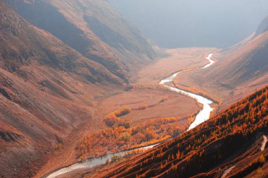 Altay dağlarında sonbahar manzarası, Sibirya, Rusya