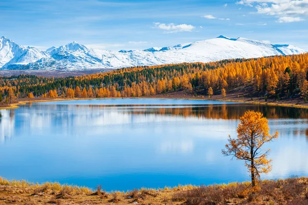 Kidelu lake in Altai mountains, Siberia, Russia. — Stock Photo, Image