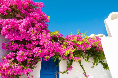Santorini Island, Yunanistan.