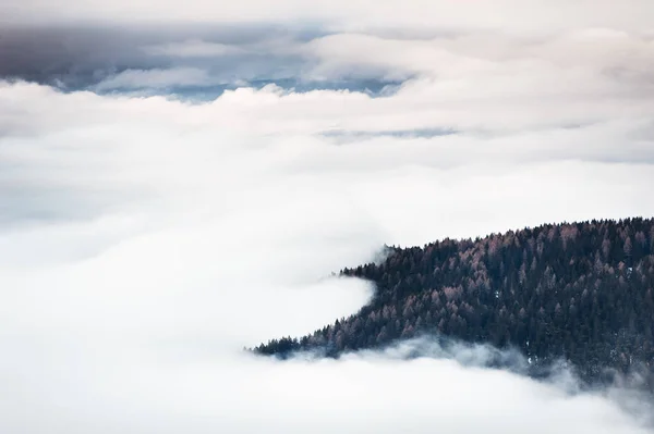 Manhã nebulosa nas montanhas de inverno . — Fotografia de Stock