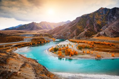 Chuya ve Katun nehirlerinin birleşimi Altai dağlarında, Sibirya, Rusya. Sonbahar manzarası. Ünlü turizm beldesi