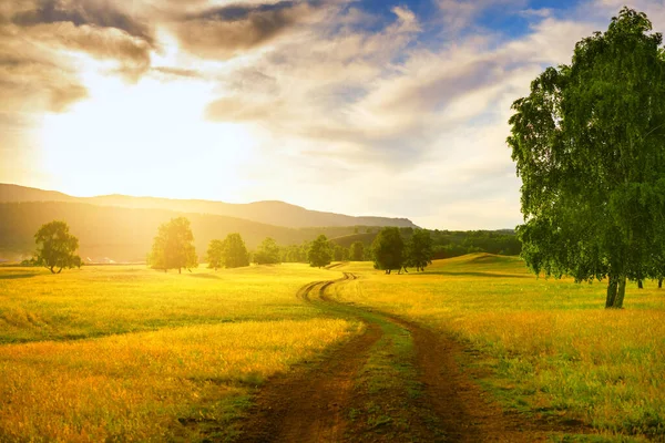 Gün batımında kırsalda. Yeşil çimenli tarlalar, orman ve dağlar. Güzel yaz manzarası. Başkortostan, Güney Ural, Rusya