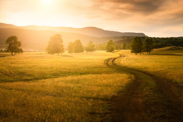 Road Countryside Sunset Fields Green Grass Forest Mountains Beautiful Summer — Stock Photo, Image