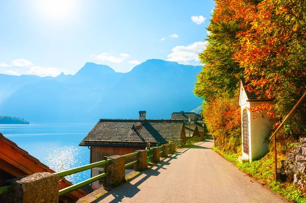 Вид Улицу Деревне Халльфо Гора Фейн Австрия Красивый Осенний Пейзаж — стоковое фото