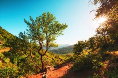 Dağlarda yürüyüş parkurunda. Demerdji 'deki Hayaletler Vadisi ulusal rezervi, Kırım, Ukrayna. Güzel yaz manzarası