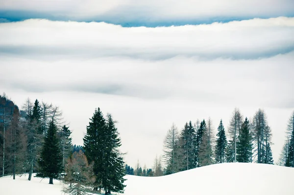 Mglisty Poranek Pokrytych Śniegiem Górach Piękny Zimowy Krajobraz — Zdjęcie stockowe