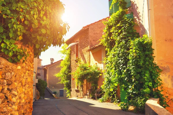 Старая Архитектура Зелеными Растениями Улице Валенсоле Прованс Франция Знаменитая Лопатка — стоковое фото