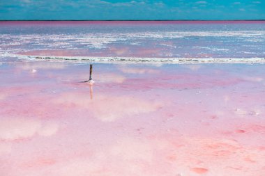 Pembe tuz gölü ve su yüzeyine yansıyan bulutlarla mavi gökyüzü. Kırım 'daki Sasyk-Sivash pembe tuz gölü. Yaz manzarası