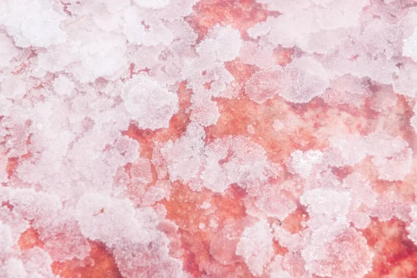 Pink Salt Crystals Salt Lake Clear Water Close Macro Image — Stock Photo, Image