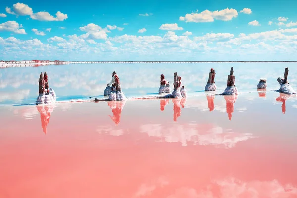 Розовое Соленое Озеро Голубое Небо Облаками Сасык Сиваш Розовое Солёное — стоковое фото