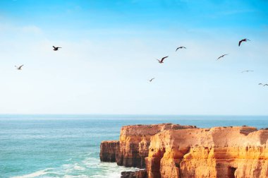 Atlantik Okyanusu kıyısındaki kayalar ve Portekiz 'in Algarve şehrinde gökyüzünde süzülen martılar. Güzel yaz deniz manzarası, ünlü seyahat beldesi.
