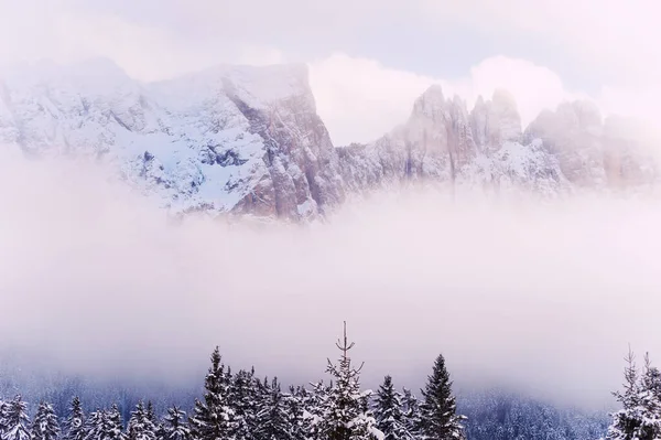 Árboles Cubiertos Nieve Las Montañas Invierno Día Brumoso Alpes Dolomitas — Foto de Stock