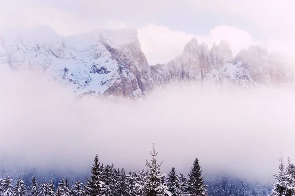 Hóval Borított Fák Téli Hegyekben Ködös Időben Dolomit Alpok Észak — Stock Fotó