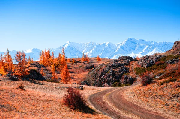 Vägen Höstfjället Kurai Stäpp Och Utsikt Över North Chuya Bergskammen — Stockfoto