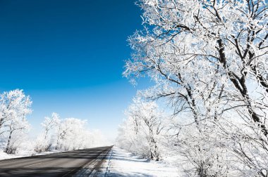 Karla kaplı ağaçlar ve mavi gökyüzü olan kış yolu. Güzel kış manzarası.
