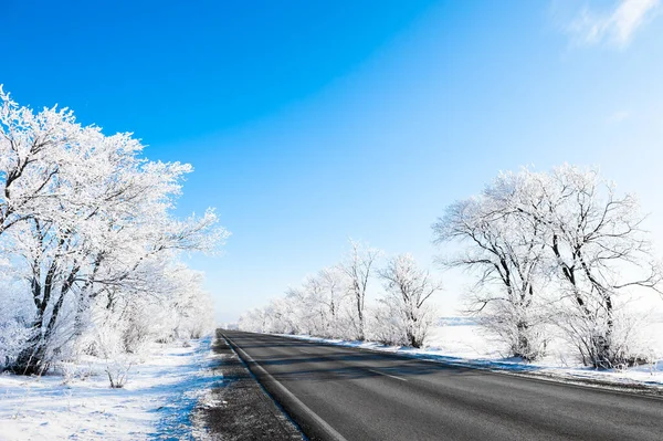 Vinterväg Med Frostade Träd Och Blå Himmel Vackert Vinterlandskap — Stockfoto