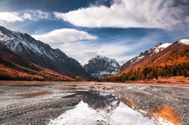 Aktru vadisinin sonbahar manzarası Altai dağlarında. Sibirya, Rusya. Karatash dağ ve nehir manzarası. 