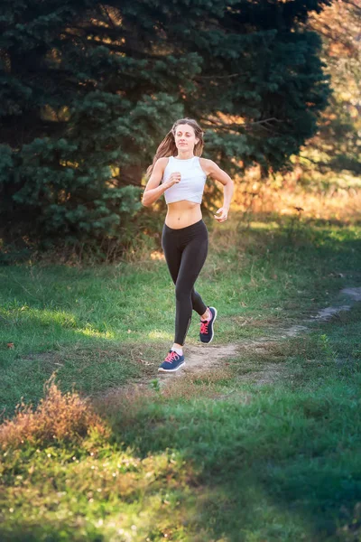 Mooie Jonge Sportieve Vrouw Joggen Het Park Bij Zonsondergang Licht — Stockfoto